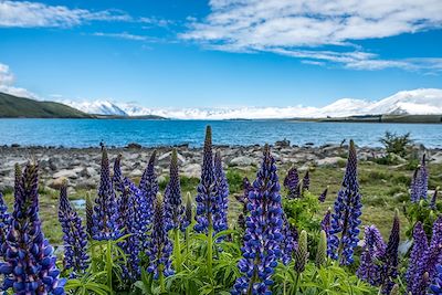 © Stanislas Gros - Lac Tekapo - Nouvelle Zélande Lac Tekapo - Nouvelle Zélande