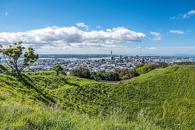 © Stanislas Gros - Mont Éden - Auckland - Nouvelle Zélande Mont Éden - Auckland - Nouvelle Zélande