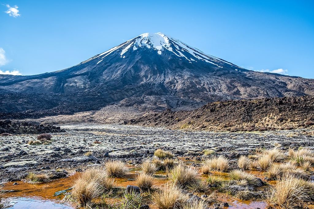 Randonnées en Pays kiwi