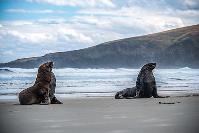 Voyage Montagne Nouvelle-Zélande