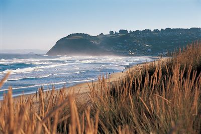 Saint Kilda Beach - Dunedin - Nouvelle Zélande
