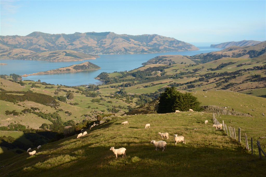 Image Randonnée Nouvelle-Zélande - Randonnée Mont Cook - Péninsule d'Otago