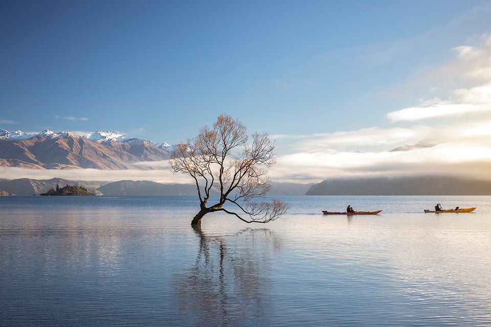 Image Randonnée Nouvelle-Zélande - Randonnée Mont Cook - Péninsule d'Otago