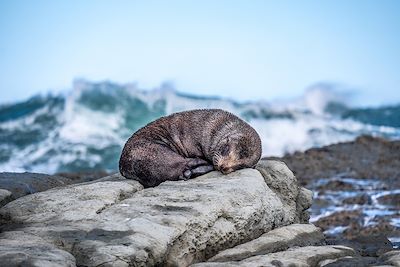 Voyage Grande découverte de la Nouvelle-Zélande 2