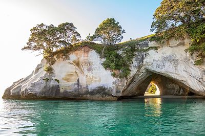 Cathédrale de Cove - Coromandel - Nouvelle-Zélande 