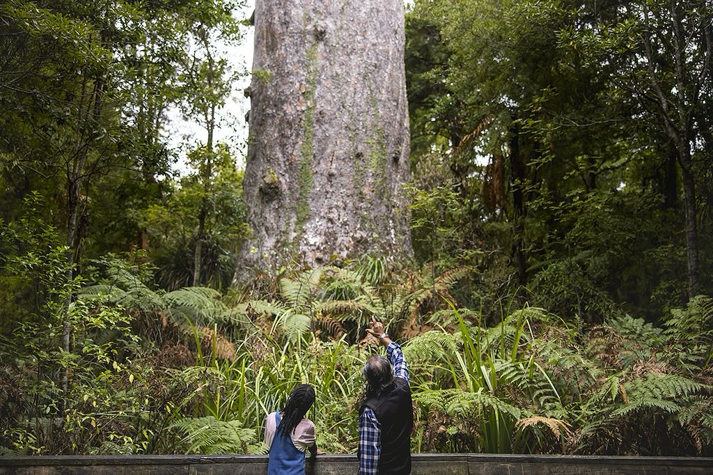 Image Culture maorie - Canoé Whanganui River - Parc national Tongariro