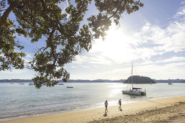 Pacifique : Odyssée maorie, aventures aux antipodes Voyage Odyssée maorie, aventures aux antipodes
