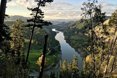 Rivière Whanganui - Nouvelle-Zélande