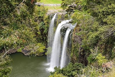 Les chutes de Whangarei en Nouvelle-Zélande 
