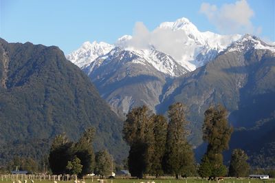 Le Mont Aoraki-Cook sur l'Île du sud - Nouvelle Zélande