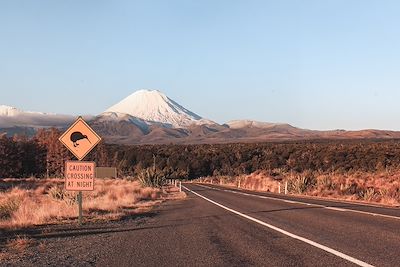 Tongariro National Park - Nouvelle-Zélande