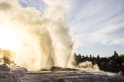 Geyser à Rotorua