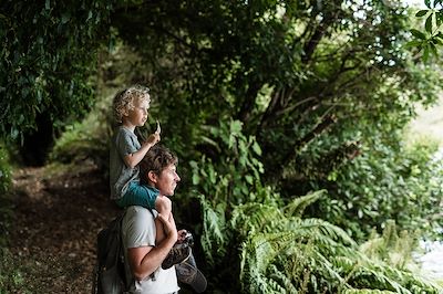 Randonnée en forêt en famille - Nouvelle-Zélande