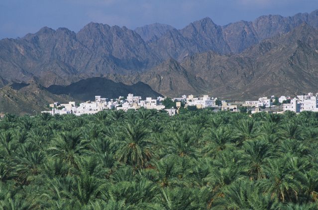 Voyage à thème : Splendeurs d\'Oman