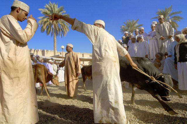 Image Oman : de l'eau, du sable et des hommes