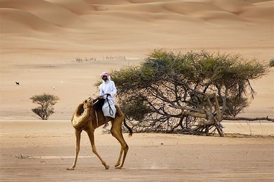 Dans le désert de Wahiba - Oman