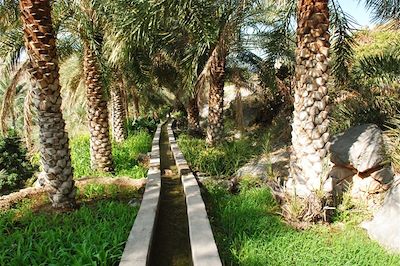 © Jean-Bernard Desbat - Falaj dans les jardins de Misfat al Abreyeen - Oman Falaj dans les jardins de Misfat al Abreyeen - Oman