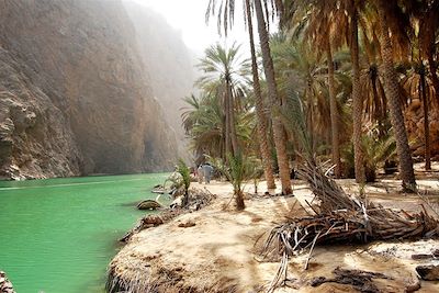 © Lakhdar Khellaoui - Wadi Tiwi - Oman Wadi Tiwi - Oman