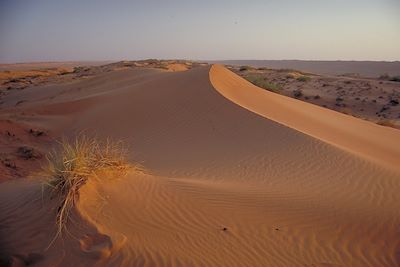 Les dunes du désert de Wahiba- Oman