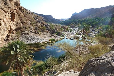 Au coeur du Wadi Bani Khaled - Oman