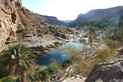 Voyage Oman, des dunes d'or aux dunes blanches 1