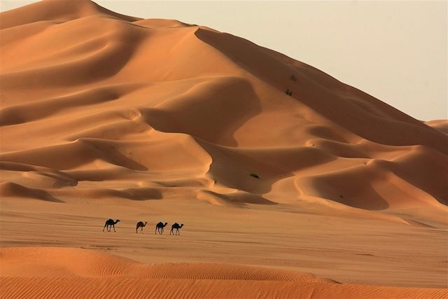 Voyage Oman, des dunes d'or aux dunes blanches