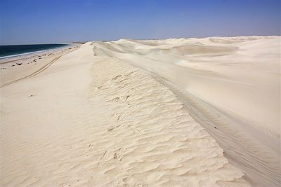 Sugar Dunes - Oman