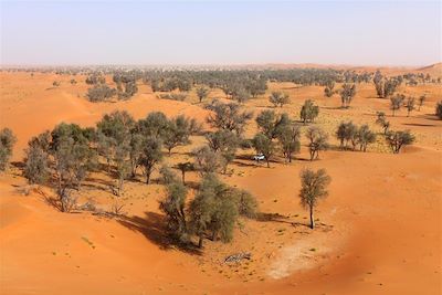 Nord du désert Rub al Khali - Oman