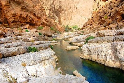 Voyage  Canyon et oasis