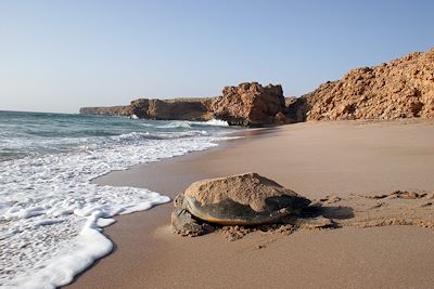 Voyage De Mascate aux sables du Rub al Khali 1