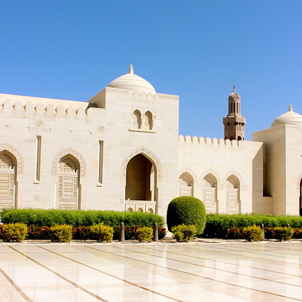 Découverte Oman Canyon et oasis