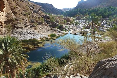 Au coeur du Wadi Bani Khaled - Oman