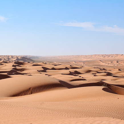 Découverte Oman Canyon et oasis