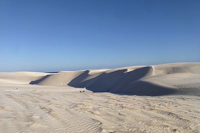 Désert - Sugar Dunes - Oman