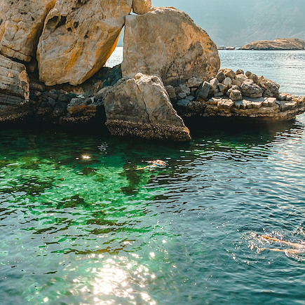 Découverte Oman Canyon et oasis