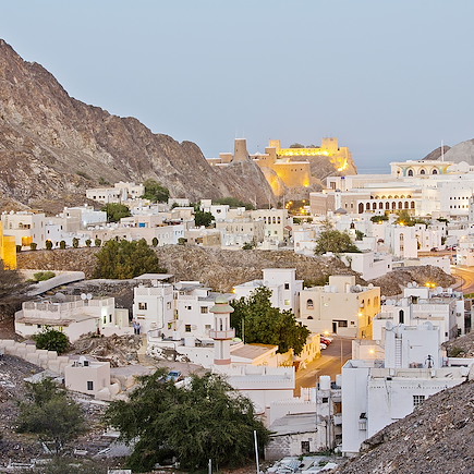 Découverte Oman Canyon et oasis