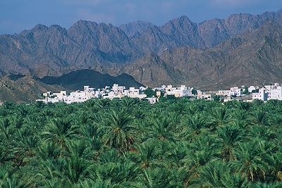 © Patrick Le Floc'h - Palmeraie de Nizwa - Oman Palmeraie de Nizwa - Oman