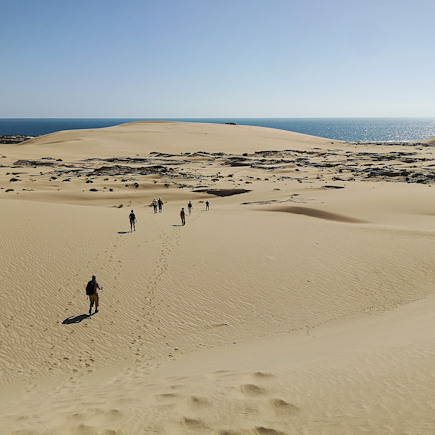 Découverte Oman Canyon et oasis