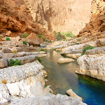 Randonnée Oman Canyon et oasis