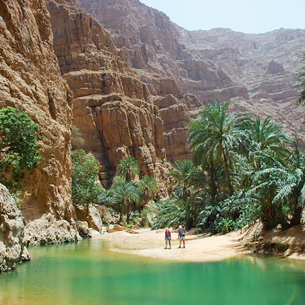 Randonnée Oman Canyon et oasis