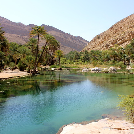 Randonnée Oman Canyon et oasis