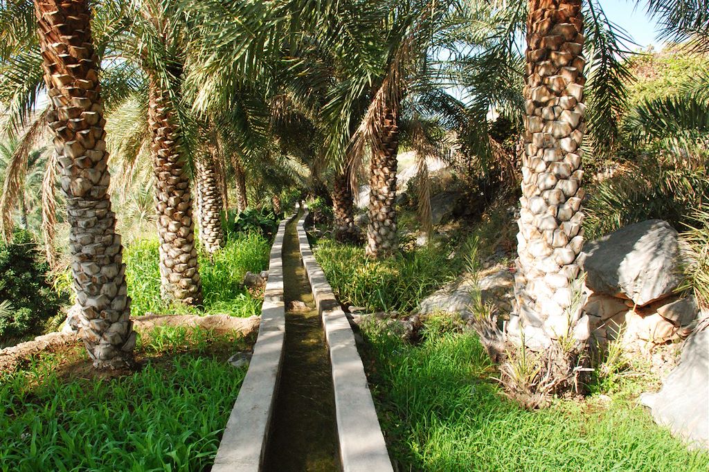 Image Trek Oman - randonnée désert - Djebel Shams - Wadi Bani Khaled