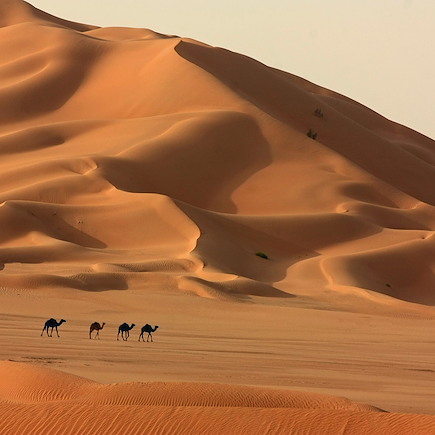 Randonnée Oman Canyon et oasis