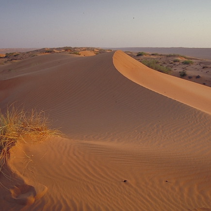 Découverte Oman Canyon et oasis