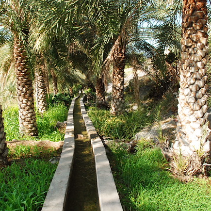 Découverte Oman Désert des Wahibas
