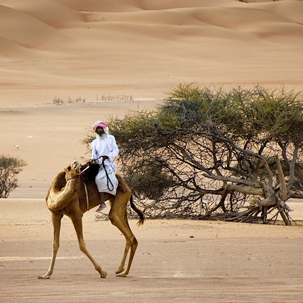 Découverte Oman Désert des Wahibas