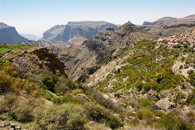 © OT Oman - Le Jabal Akhdar et ses cultures en terrasses - Oman Le Jabal Akhdar et ses cultures en terrasses - Oman