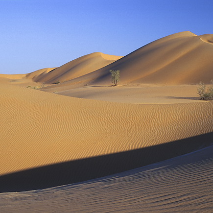 Découverte Oman Désert des Wahibas