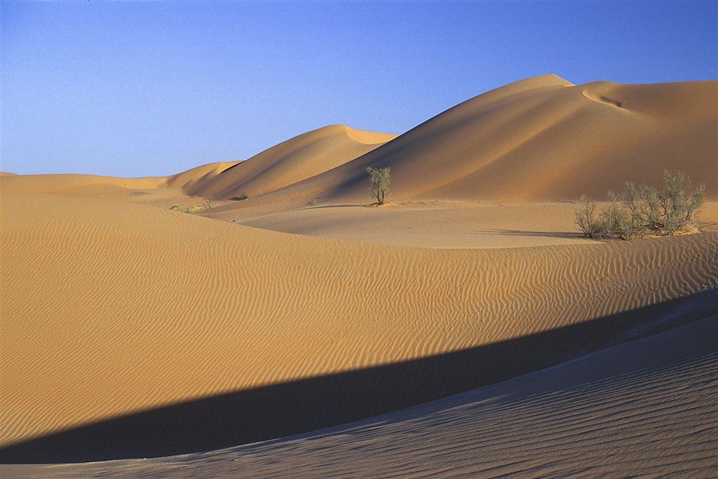 Image Voyage Oman - Trek Desert - Wadi bani Khaled