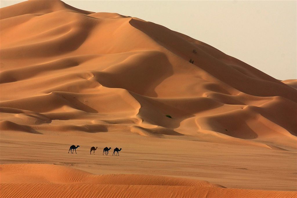 Image TREK SULTANAT D'OMAN - RANDONNEE OMAN - TREK DESERT